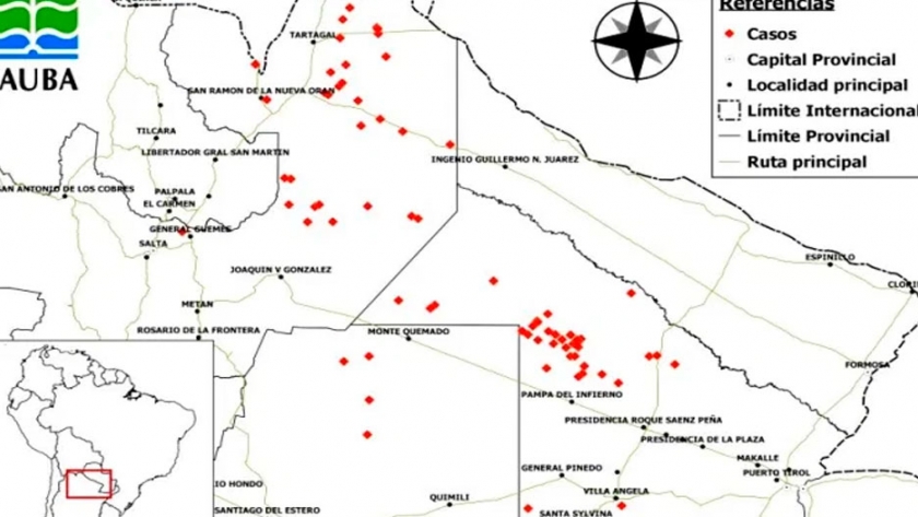 Investigadores de la FAUBA estudian las causas detrás de los desmontes ilegales en el Chaco Seco argentino