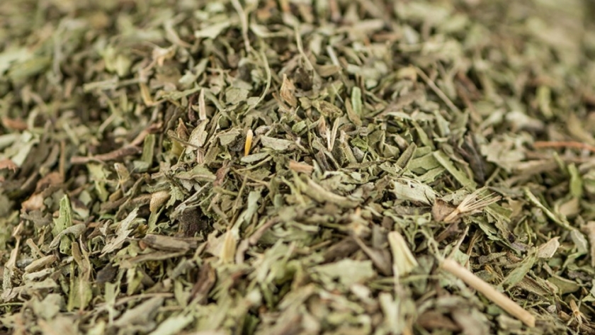 Se expande en la Argentina el consumo de yerba orgánica