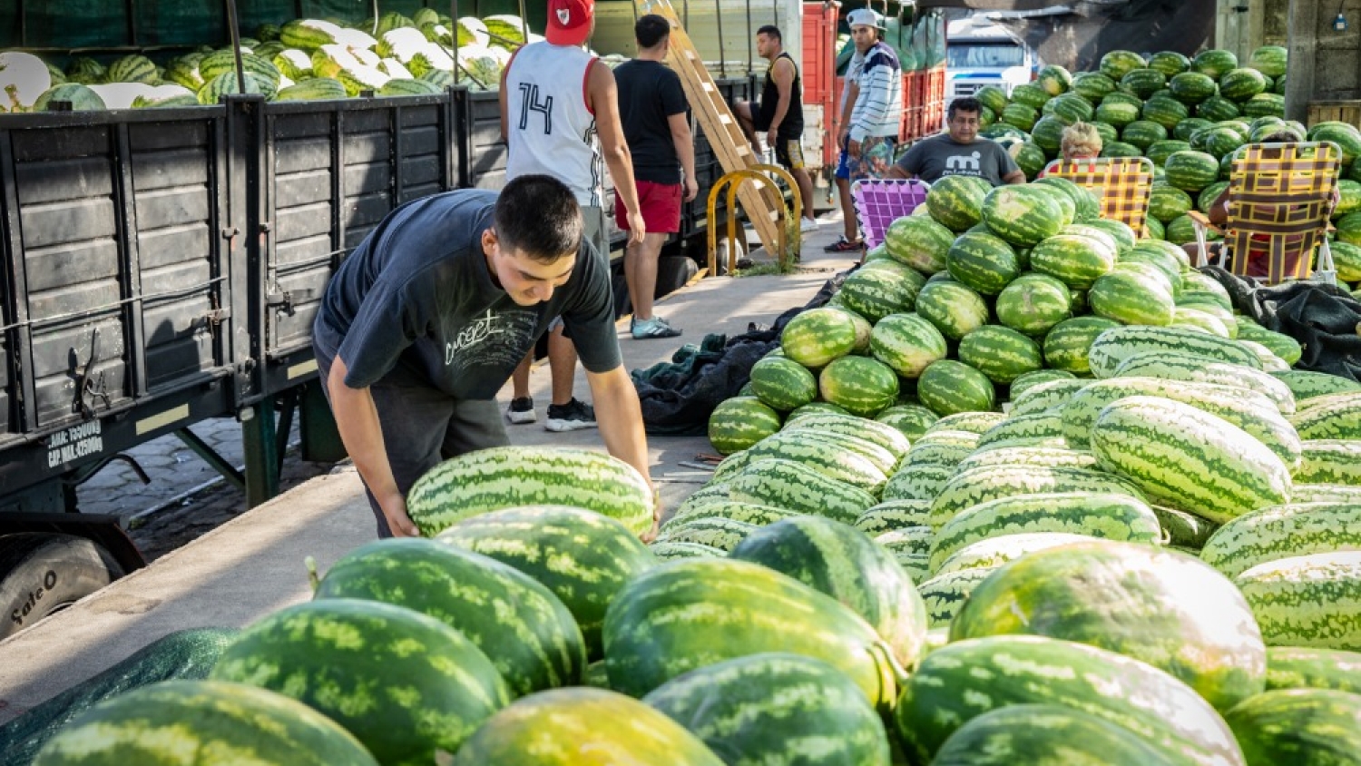 El Chaco reabre fronteras frutícolas: exportan sandías a granel por primera vez en 42 años