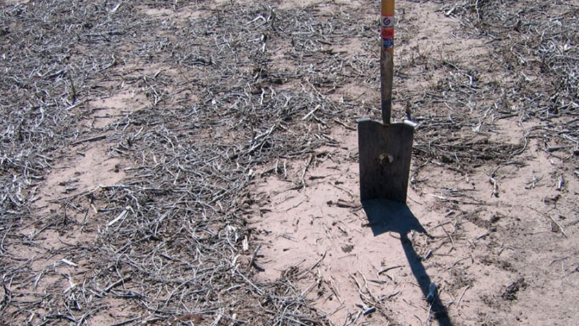 Un informe sugiere que la agricultura combinada con la ganadería degrada los suelos