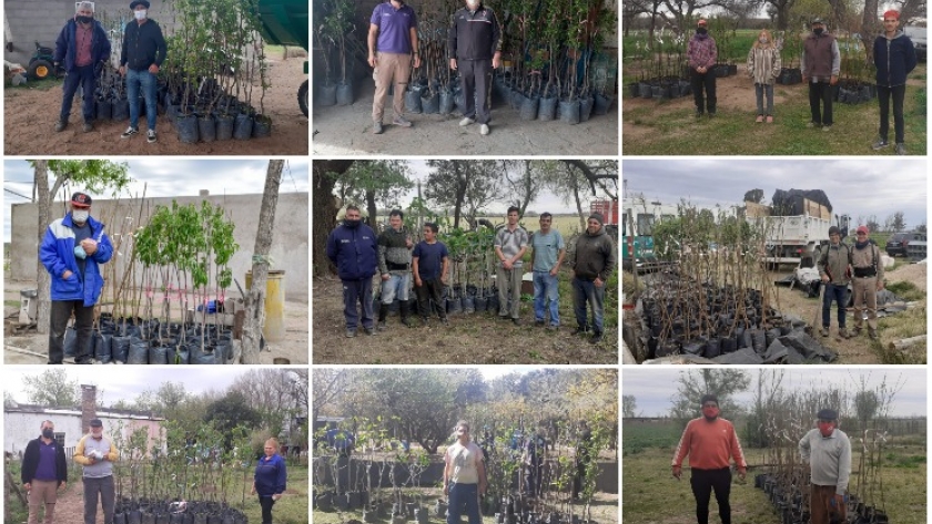 Con una nueva entrega de árboles frutales y semillas, finalizó la primera etapa del Plan de Activación Productiva Frutihortícola