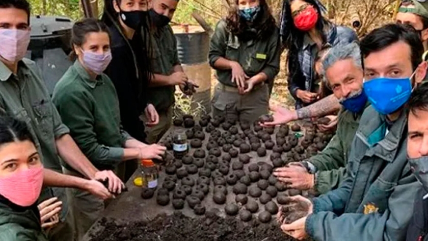 Córdoba: buscan armar 10 mil bombas de semillas para reforestar las sierras tras los incendios