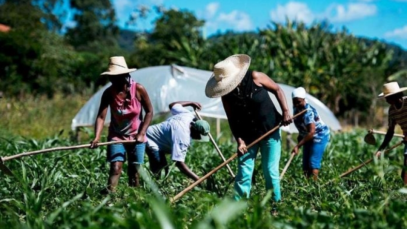 AGROXXI: Convocan a presentar iniciativas para el desarrollo agroindustrial