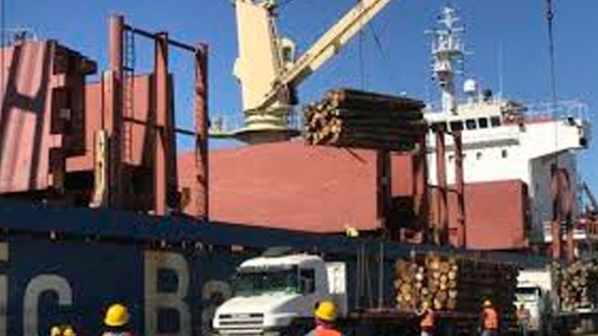 Los primeros eucaliptos exportados a China salen de Entre Ríos