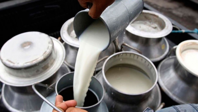 La producción de leche aumentó 9,3% en el primer semestre