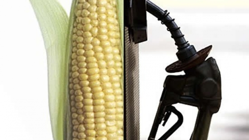 Manuel Ron: “Estados Unidos transforma 40% de su maíz en bioetanol, mientras que acá no llegamos a 2,5%”