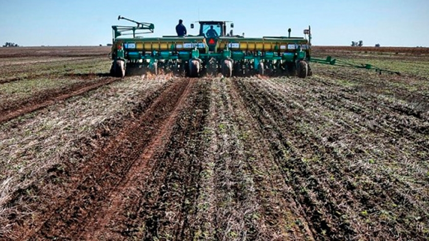 Nitrato de Amonio y los Fertilizantes utilizados en Argentina