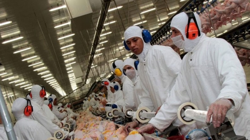 Brasil proyecta alzas en la producción de pollo y cerdo de este año