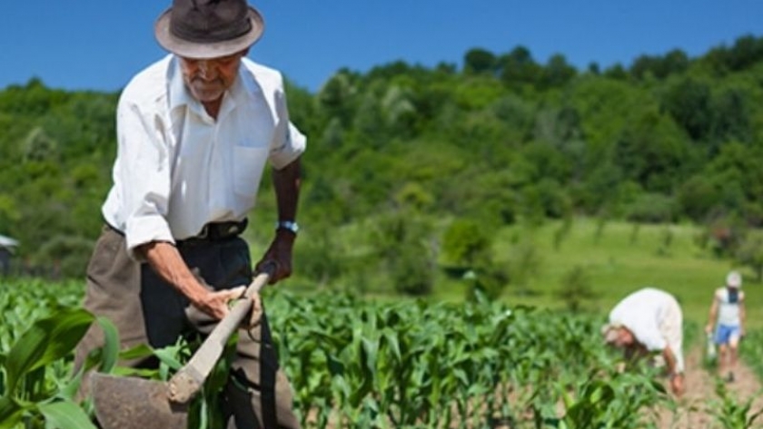 Pequeños productores de los valles recibieron insumos del Plan Ganar