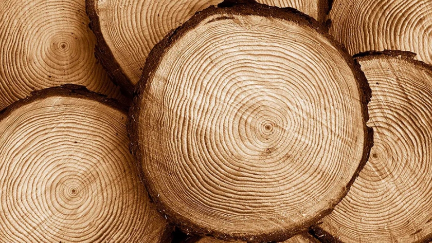 Concordia será sede de la sexta edición de Expo Madera