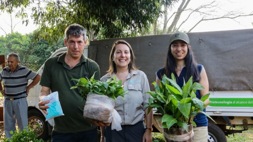 Se consolidan nuevas cuencas productoras de frutas