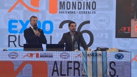 La ganadería consolida su recuperación: suben los valores del novillo de exportación y crece la demanda por la hacienda de cría
