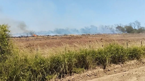 Productores forestales denuncian quema de madera en los departamentos Güemes y Brown