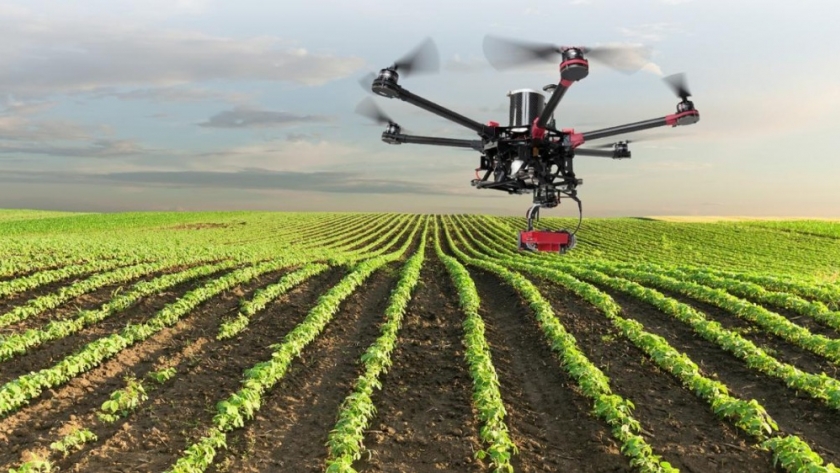 Emprendiendo en el campo