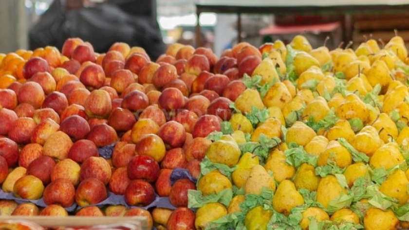 Argentina exportó 128 mil toneladas de producción orgánica certificada