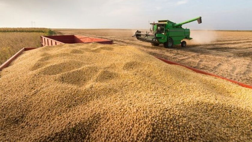 Granos: Los precios internacionales, a la merced de lo que suceda en la cosecha norteamericana