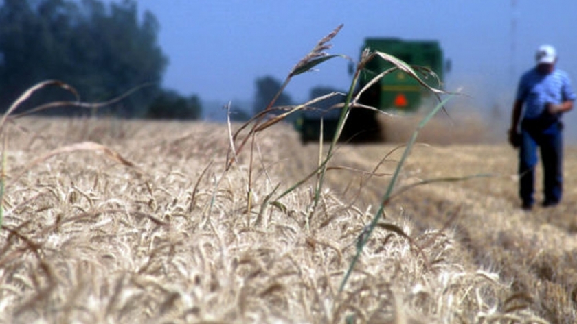 Protocolo de prevención para la actividad agropecuaria