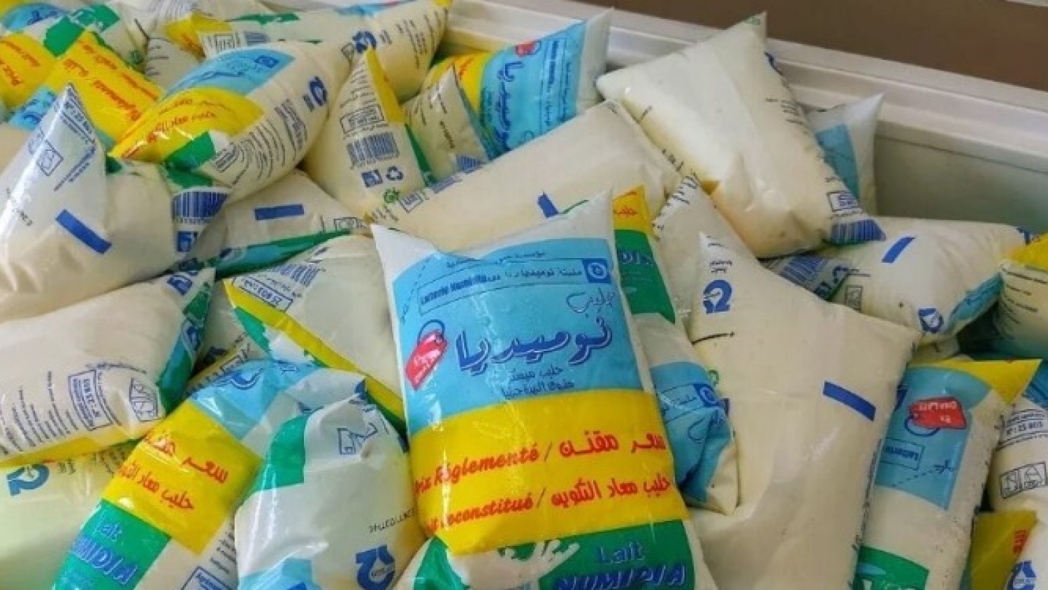 Argelia acelera su producción de leche y busca reducir la dependencia de las importaciones argentinas