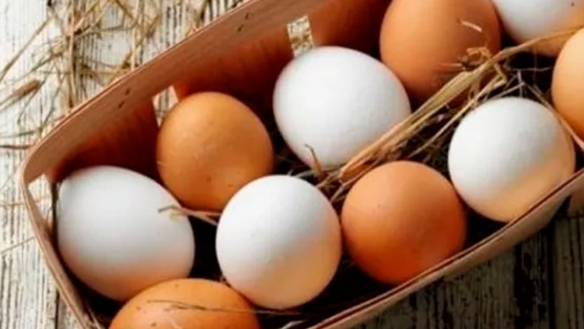 Mitos, verdades y diferencias entre los huevos blancos y los de color