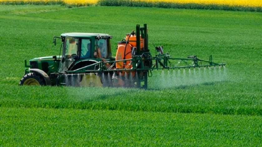 Mejorando la calidad nutricional del grano: biofortificación en arroz mediante fertilización foliar