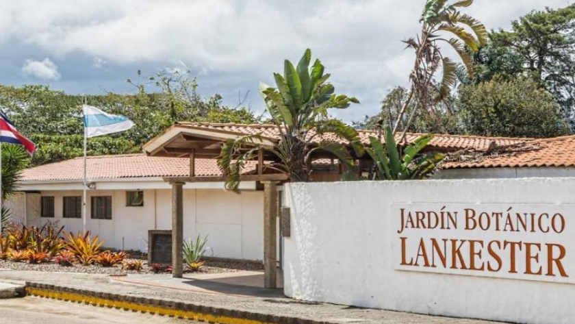 Jardín Botánico Lankester: una de las colecciones de orquídeas más grandes del mundo