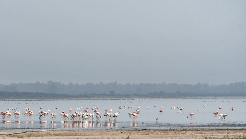 Córdoba avanza en la elaboración del Inventario de Humedales