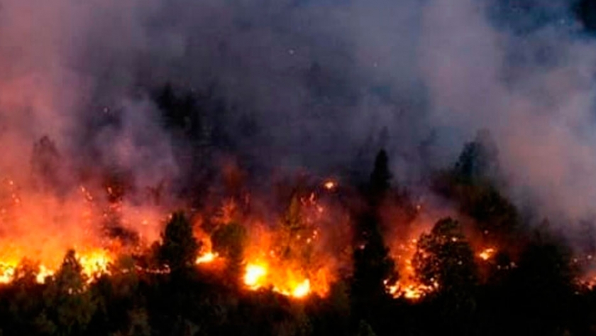 El daño que provocó el incendio en el Bolsón es muy grave