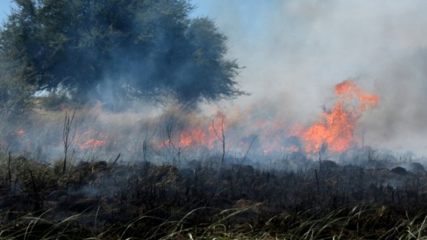 La Pampa: Finaliza mañana la temporada de quemas de pastizales