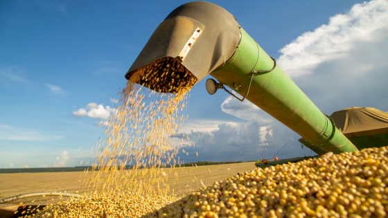 Sorpresa en el campo: crece la cosecha de soja y se disparan los rindes en las principales regiones