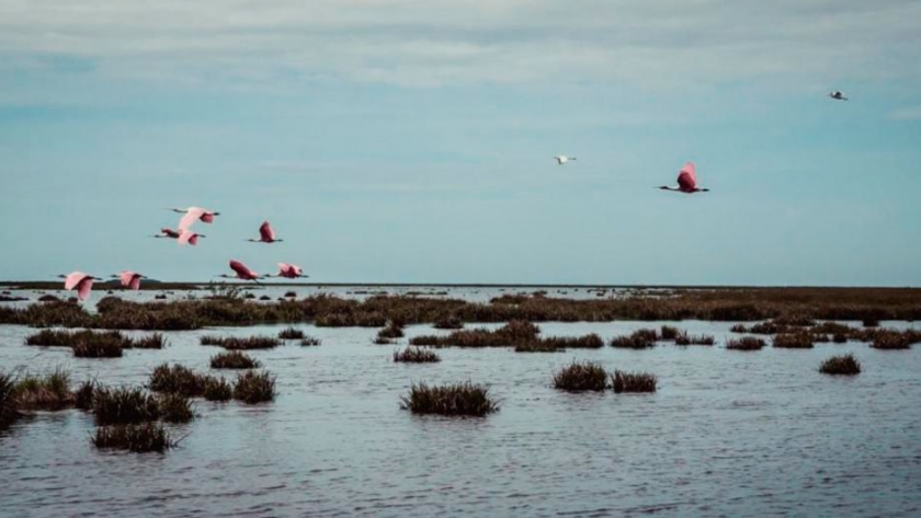 Ecoturismo: cuatro destinos sustentables de Argentina