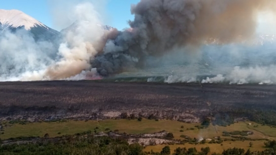 Provincia mantiene importante despliegue para combatir incendios forestales en la cordillera