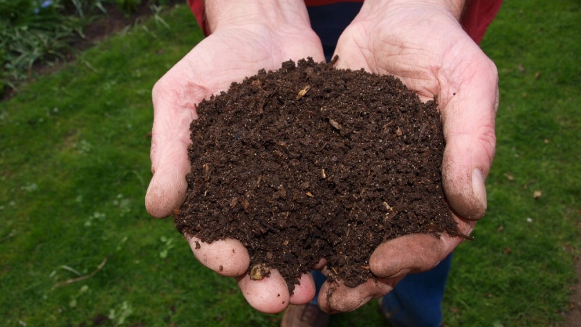 Cómo hacer compost con yerba mate usada y otros desechos orgánicos