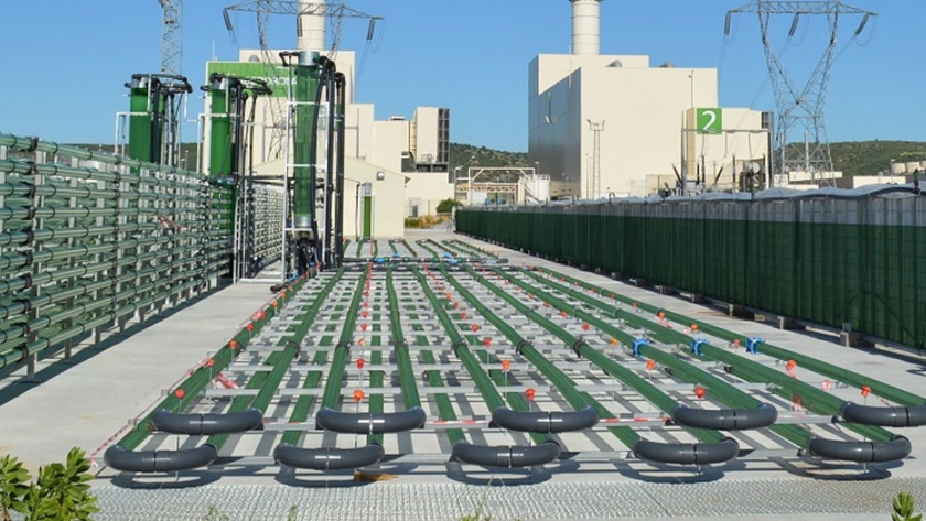 AlgaEnergy abre una nueva filial en Francia