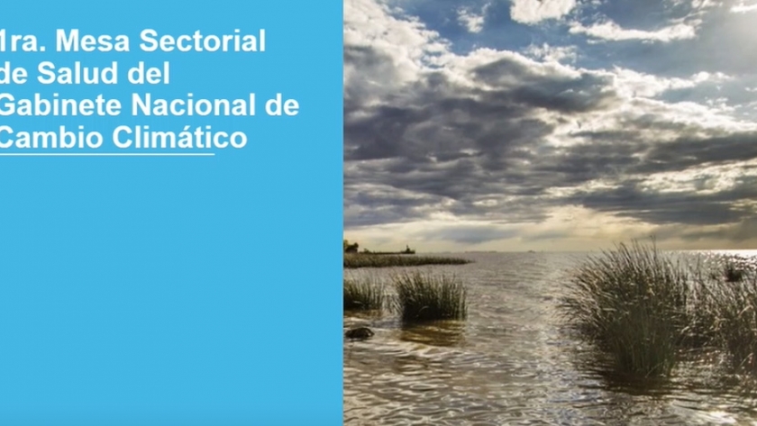 Se realizó la primera mesa sectorial de salud del Gabinete Nacional de Cambio Climático