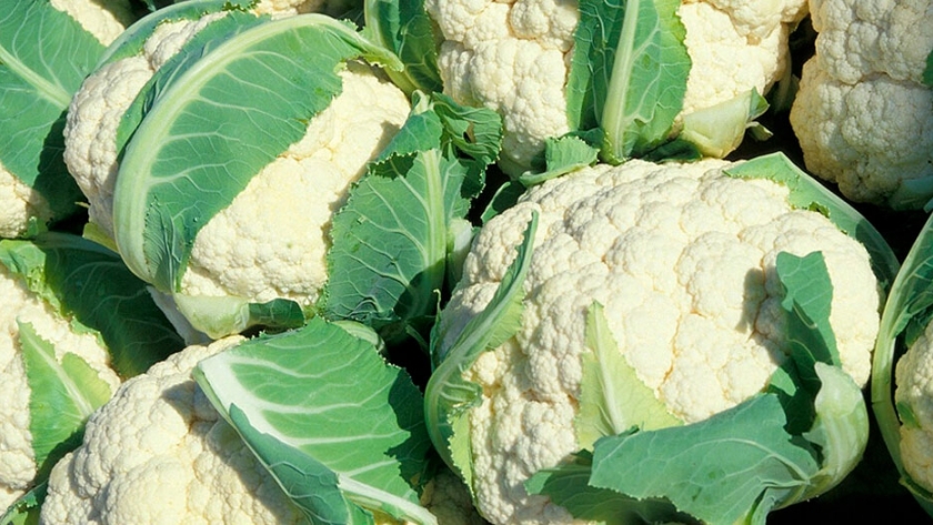 Tener brócoli y coliflor en la huerta es posible si se inicia en febrero