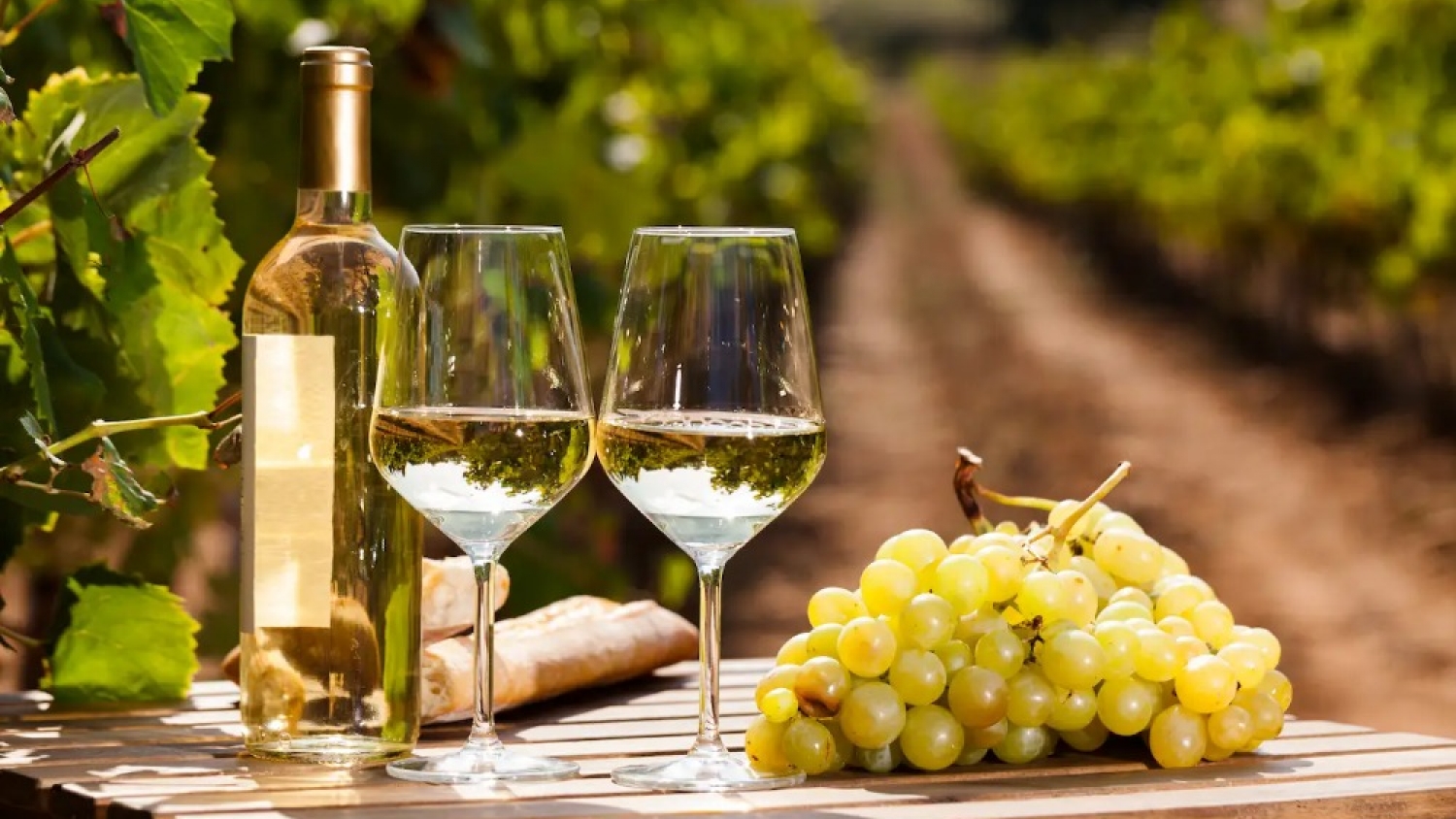 El impulso del vino blanco sostuvo las exportaciones vitivinícolas en el arranque de 2026