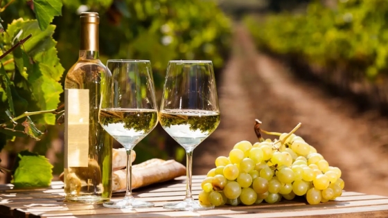El impulso del vino blanco sostuvo las exportaciones vitivinícolas en el arranque de 2026