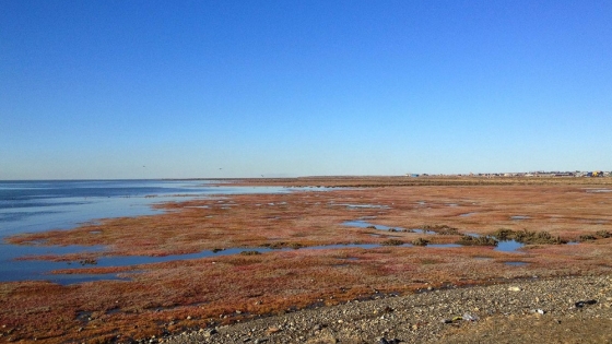 Se firmó una carta acuerdo para fortalecer el manejo y conservación del Estuario de Río Gallegos