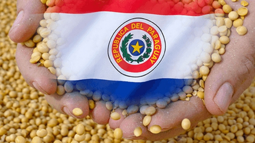 Paraguay: Se prevé recuperación en producción de soja ciclo 2019/2020