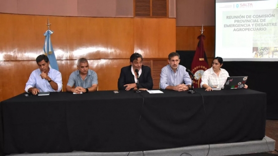 Salta activará la Emergencia Agropecuaria en Colonia Santa Rosa tras pérdidas millonarias por un temporal