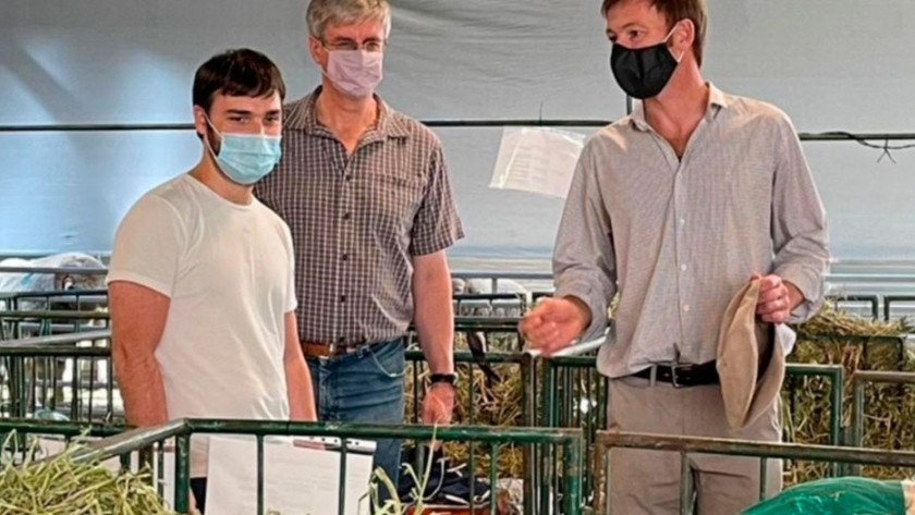 Hay que promover y no castigar el valor agregado en el sector rural