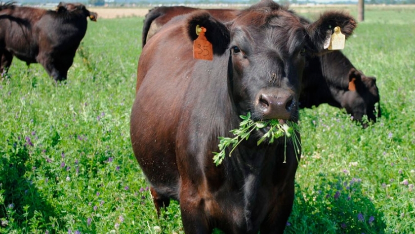 El éxito de tu siembra se basa en la planificación
