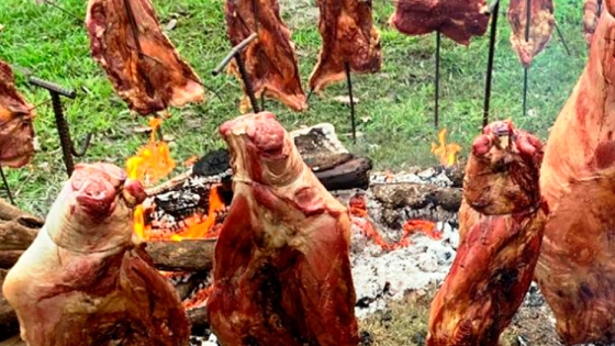 <Carne de búfalo, Corrientes es la principal productora