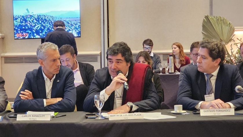 Martin de los Rios: “Aunar voluntades para lograr un desarrollo federal”