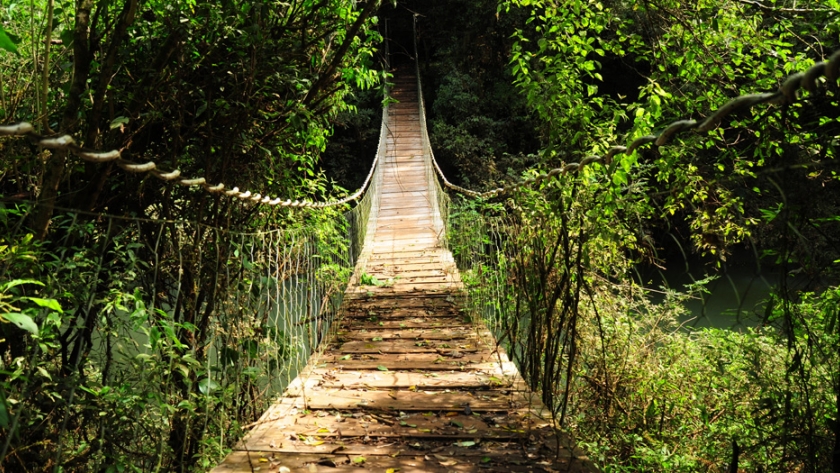 Misiones busca ser el Destino de Naturaleza más importante de la región