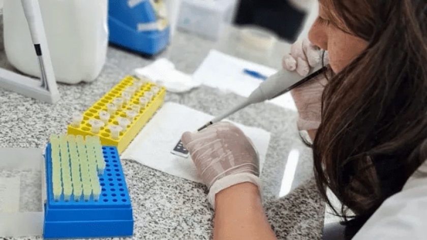 “Equipar Ciencia”: El Ministerio de Ciencia destinó a Formosa más de 500 mil dólares en equipos