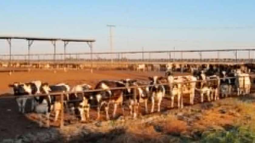 El factor ambiental constituye una oportunidad