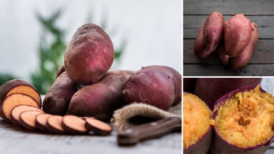 El INTA registró una nueva variedad de batata «Capicúa INTA»