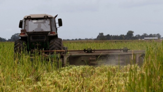 <La Provincia lanzó nuevas medidas para el sector agropecuario