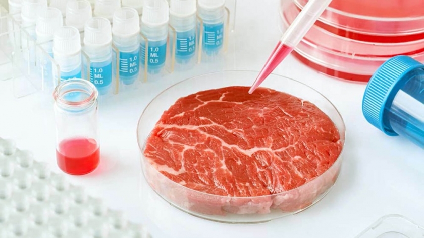 Carne cultivada vs. agricultura regenerativa: el debate que se viene